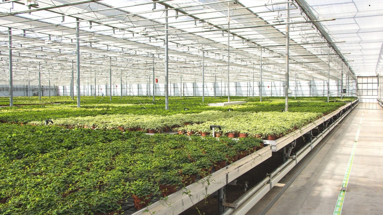 Individuelle Schattierungssysteme fürs Gewächshaus