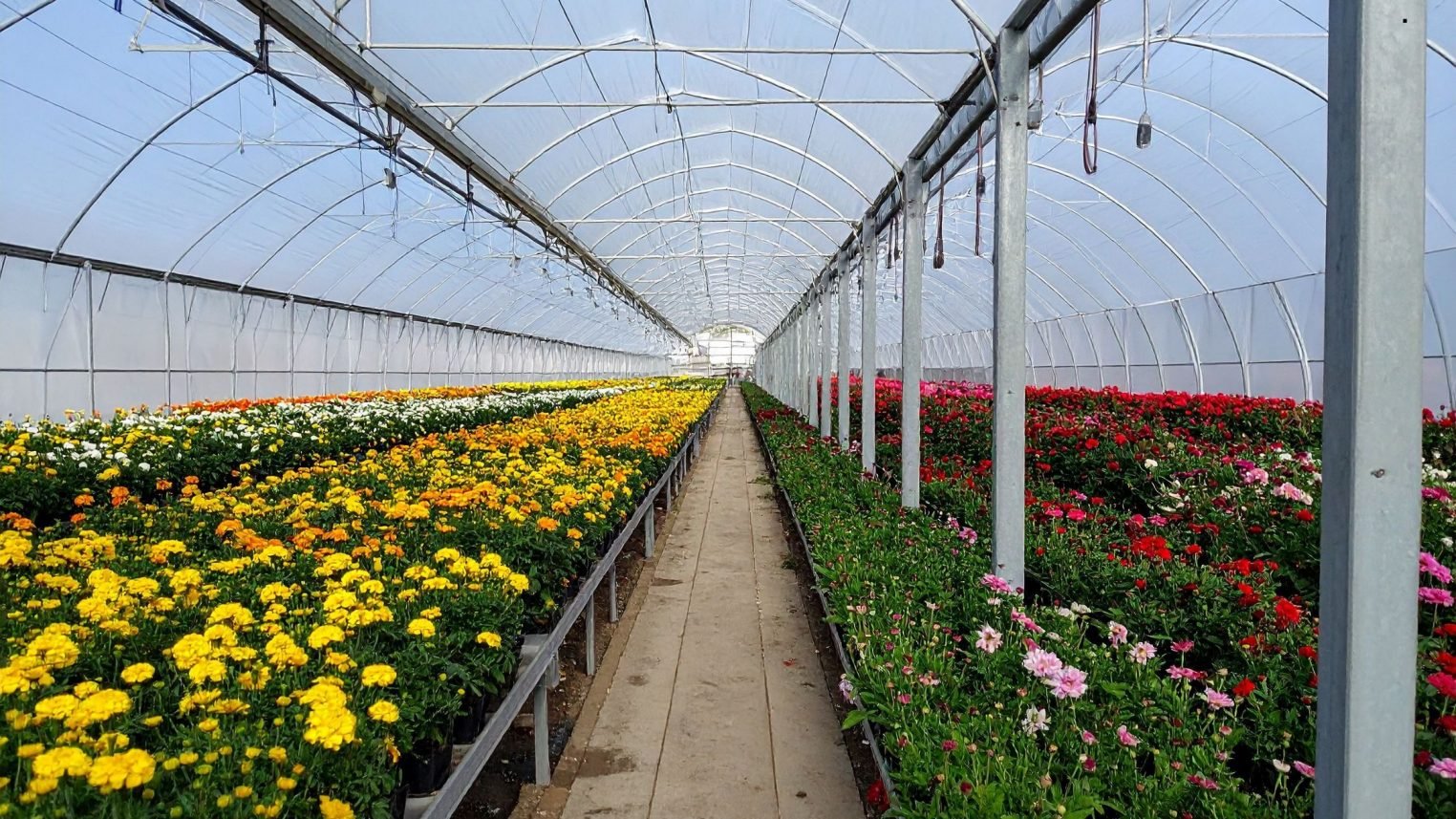 Installation von Energieschirmen und Schattierungen