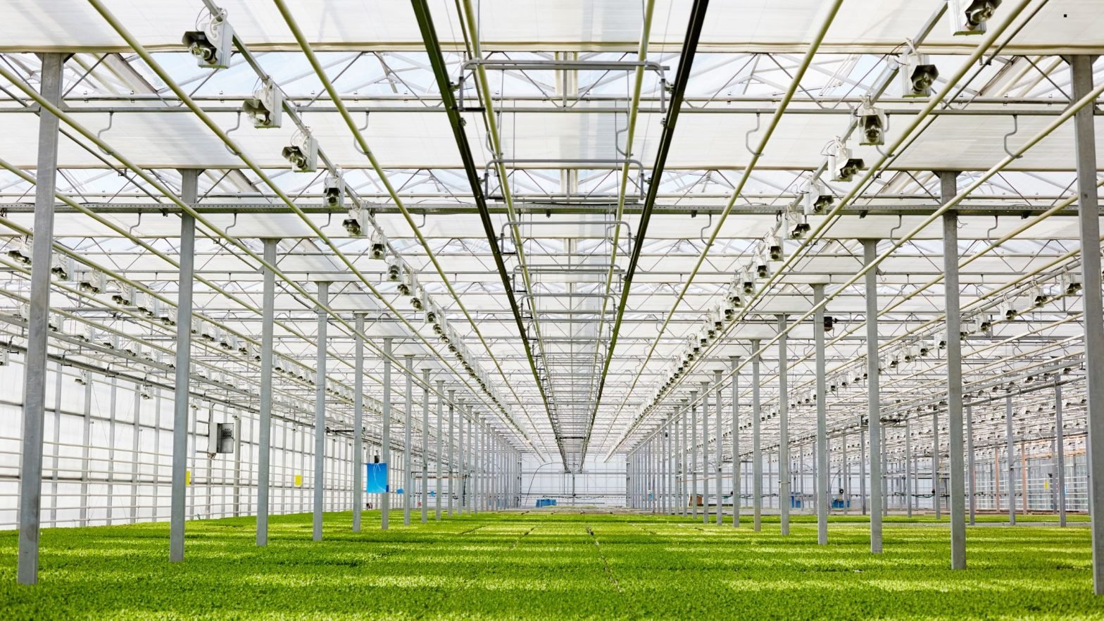 Schattierungen & Lichtklima im Gewächshaus